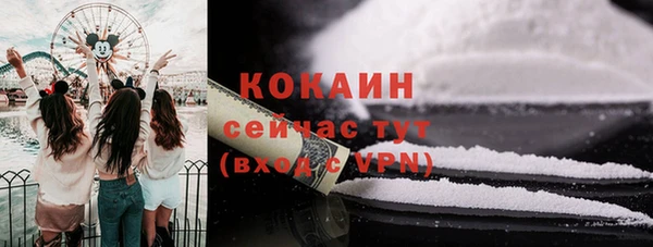 бошки Дмитриев