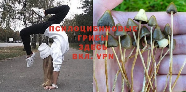 ALPHA-PVP Дмитровск