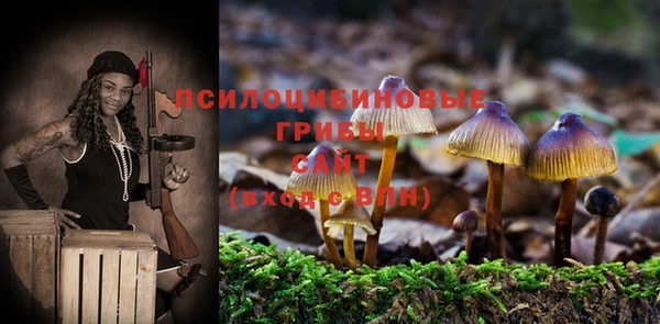 спиды Дмитров