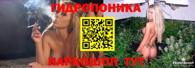 дурь Гай
