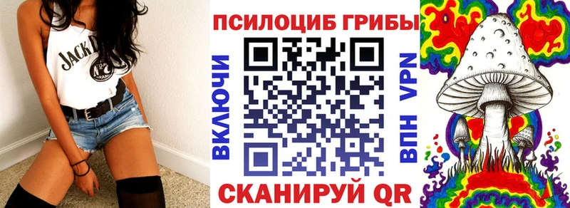 Псилоцибиновые грибы мицелий цены Городец