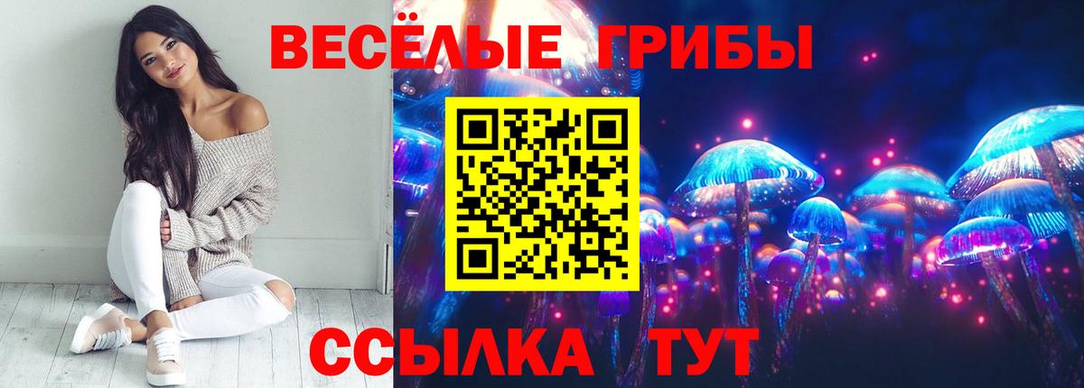 Галлюциногенные грибы GOLDEN TEACHER Городец